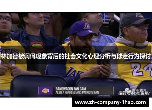 林加德被调侃现象背后的社会文化心理分析与球迷行为探讨