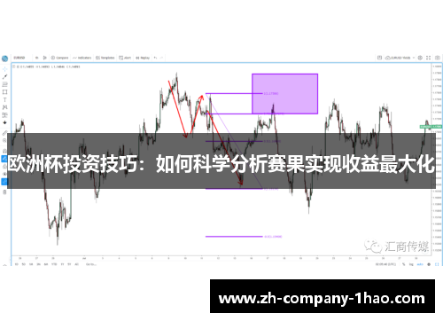 欧洲杯投资技巧：如何科学分析赛果实现收益最大化